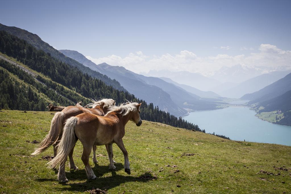 Apart Bergzeit Наудерс Экстерьер фото